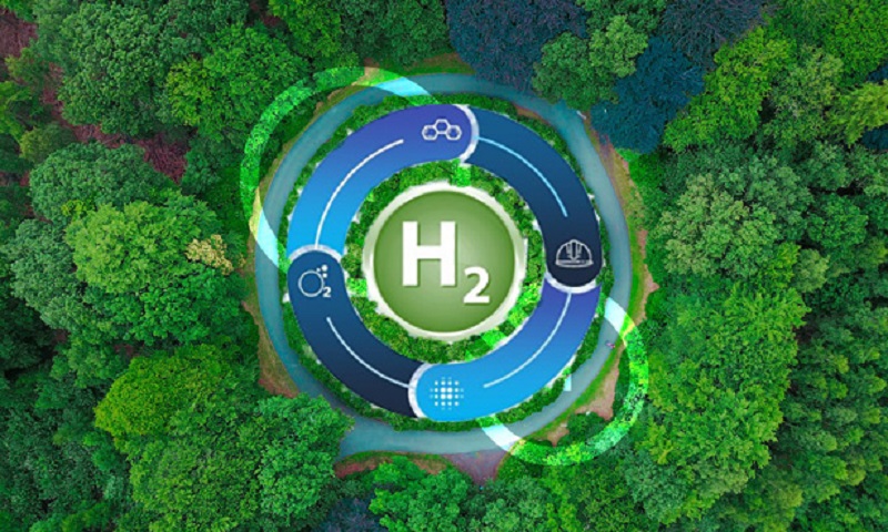 Choque entre objetivos ambientales y realidad de los combustibles verdes<br><span style='font-size:18px;line-height:18px;font-weight:400'>Las nuevas regulaciones internacionales exigen una reducción drástica de emisiones en el transporte marítimo, pero la oferta de combustibles alternativos muestra un déficit de 11 millones de toneladas hacia 2030, lo que compromete el cumplimiento de las metas.</span>