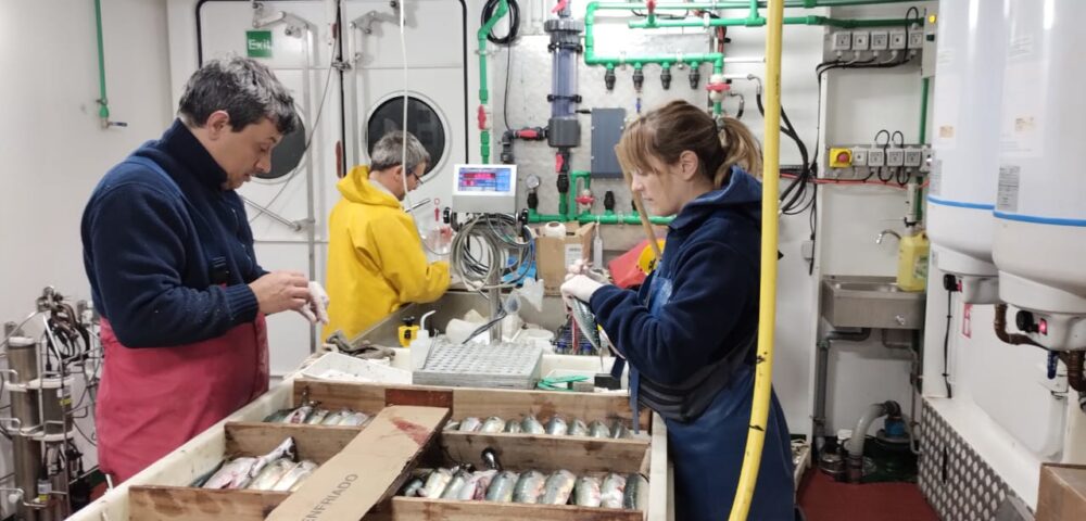 INIDEP celebrará sus 49 años con una jornada abierta de ciencia marina en Mar del Plata<br><span style='font-size:18px;line-height:18px;font-weight:400'>El Instituto Nacional de Investigación y Desarrollo Pesquero (INIDEP) conmemorará su 49° aniversario con una actividad abierta a la comunidad que incluirá exhibiciones científicas, especies marinas vivas, tecnología de exploración submarina y propuestas gastronómicas vinculadas al mar.</span>