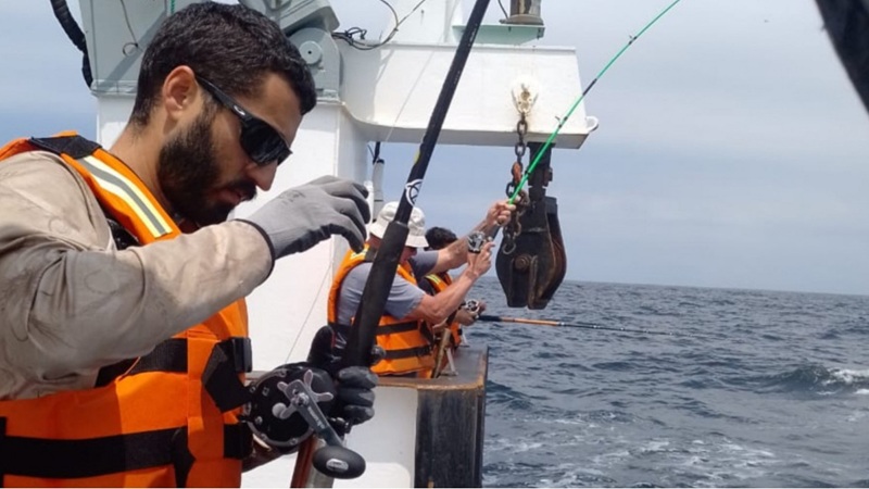 INIDEP inicia su primera campaña para evaluar peces pelágicos grandes en el Banco de Pez Limón<br><span style='font-size:18px;line-height:18px;font-weight:400'>El instituto puso en marcha un operativo científico inédito para estudiar la dinámica poblacional de peces pelágicos grandes en el Banco de Pez Limón, con el objetivo de fortalecer el conocimiento biológico y ambiental de estas especies clave.</span>