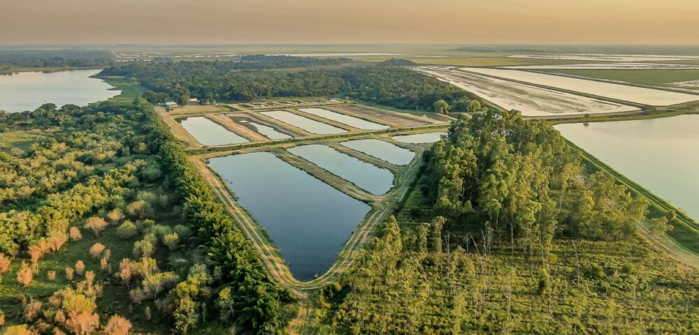 Puerto Las Palmas: arroz y pacú de exportación desde Chaco<br><span style='font-size:18px;line-height:18px;font-weight:400'>En La Leonesa, Chaco, Puerto Las Palmas combina arroz y acuicultura de pacú en un modelo sustentable que ya exporta a Estados Unidos. La innovación productiva, certificada por Senasa, consolida a la empresa como referente en la internacionalización de la producción local.</span>