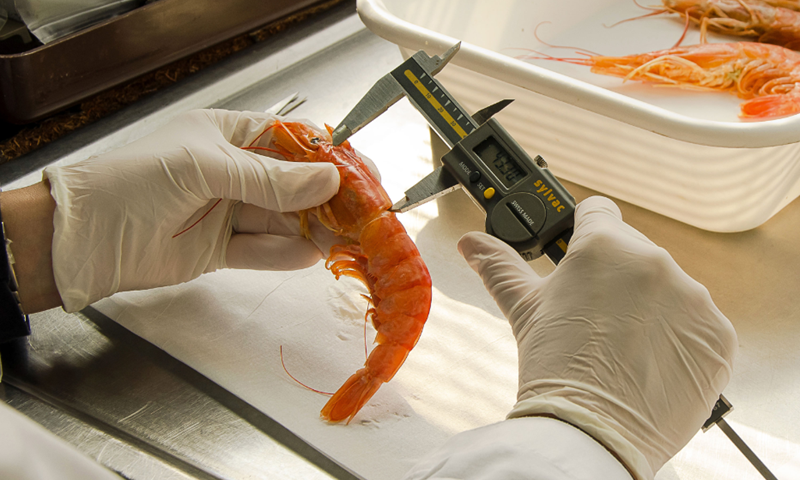 INIDEP capacita observadores pesqueros en Santa Cruz<br><span style='font-size:18px;line-height:18px;font-weight:400'>El Instituto Nacional de Investigación y Desarrollo Pesquero realizó en Caleta Olivia una capacitación para observadores pesqueros, destinada a fortalecer el manejo sostenible del langostino y mejorar la calidad de los datos científicos.</span>