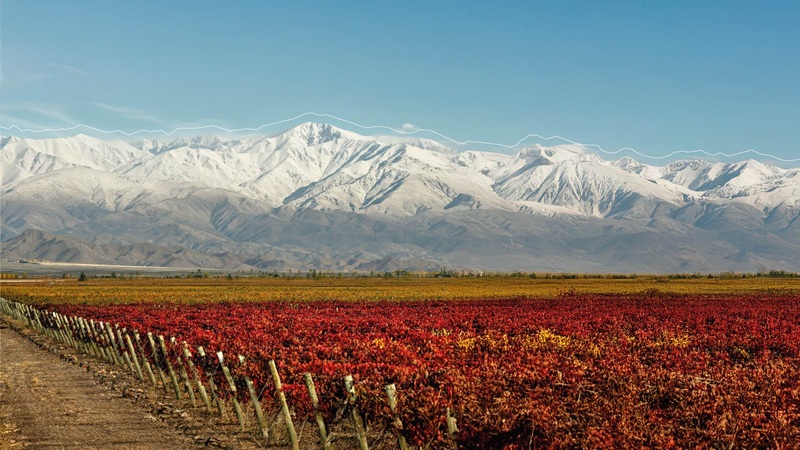 Vinexpo Explorer Mendoza 2026: convocatoria para bodegas Copete<br><span style='font-size:18px;line-height:18px;font-weight:400'>Vinexposium y el Gobierno de Mendoza convocan a bodegas para participar en Vinexpo Explorer Mendoza 2026 – The Bulk Wine Chapter. Gacetilla de prensa de ProMendoza.</span>