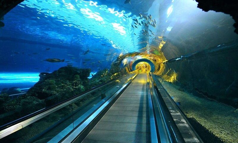 Tunel submarino del Estrecho de Bohai, infraestructura estratégica de China<br><span style='font-size:18px;line-height:18px;font-weight:400'>El gigante asiático impulsa el túnel de Bohai, una obra de 120 km —90 de ellos submarinos— que transformará la conectividad entre Dalian y Yantai y consolidará el eje económico del noreste.</span>