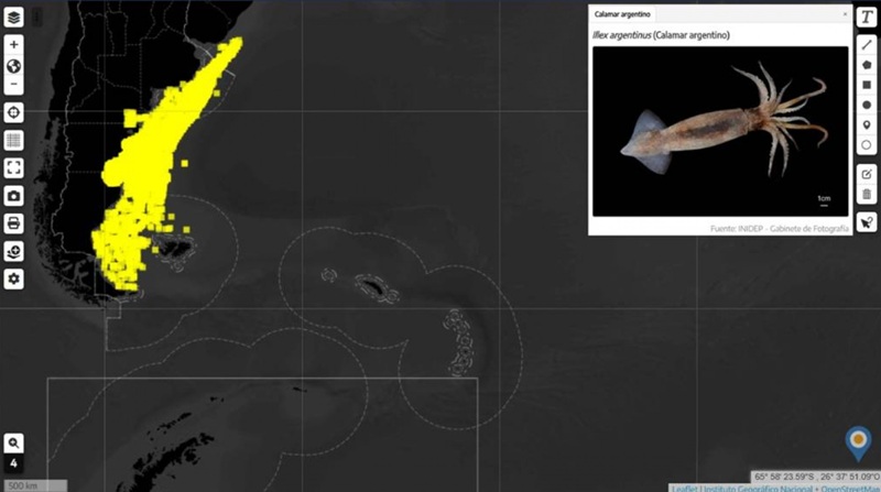 INIDEP lanza Geovisor de Especies con más de 40 años de investigación<br><span style='font-size:18px;line-height:18px;font-weight:400'>El Instituto Nacional de Investigación y Desarrollo Pesquero presentó una herramienta interactiva que permite visualizar la distribución histórica de especies en el Atlántico Sudoccidental, fortaleciendo la interoperabilidad y el acceso abierto a la información científica.</span>