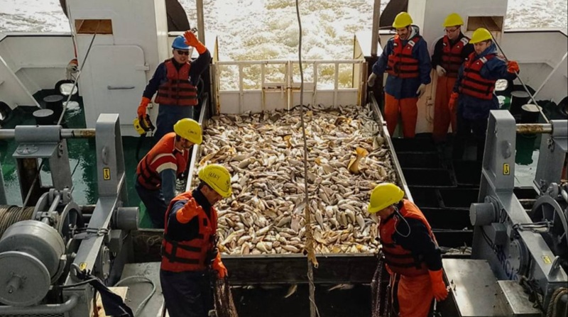 INIDEP evalúa la abundancia de corvina rubia<br><span style='font-size:18px;line-height:18px;font-weight:400'>El Instituto Nacional de Investigación y Desarrollo Pesquero inició una campaña científica en el Río de la Plata y la Zona Común Argentino-Uruguaya para estimar la abundancia de corvina rubia, recurso clave del variado costero y de la sostenibilidad regional.</span>