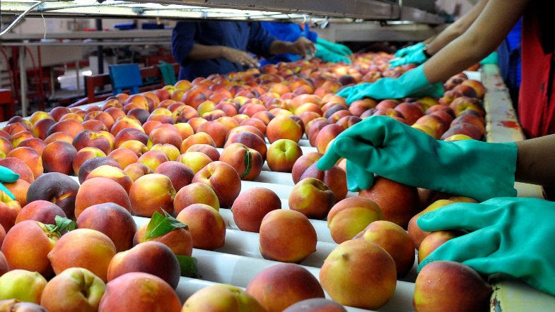 Mendoza abre inscripciones para ronda internacional de alimentos y bebidas<br><span style='font-size:18px;line-height:18px;font-weight:400'>El encuentro Mendoza Southern Food reunirá el 1 y 2 de septiembre a 20 compradores internacionales con 40 empresas mendocinas. La iniciativa busca consolidar la proyección exportadora de la provincia en mercados estratégicos.</span>