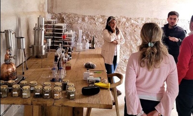 Destiladores mendocinos lanzan una planta para impulsar la producción y la proyección internacional del sector<br><span style='font-size:18px;line-height:18px;font-weight:400'>Ocho emprendedores pusieron en marcha Iserá Distillery, una destilería orientada a la elaboración de bebidas espirituosas para terceros. El proyecto busca acompañar el crecimiento de una industria que comienza a ganar presencia en mercados internacionales.</span>