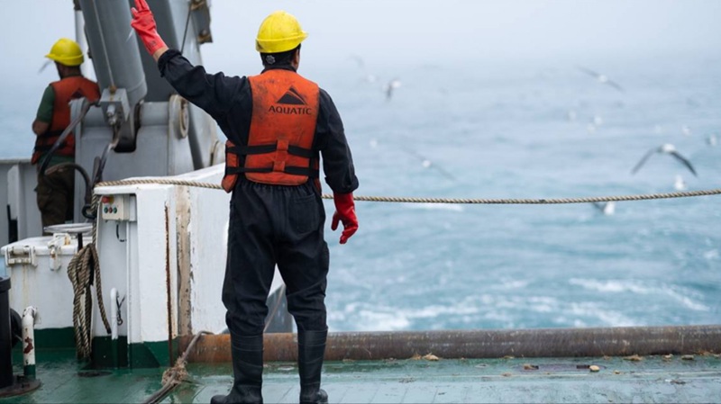 INIDEP abre una nueva convocatoria para formar observadores embarcados en la flota pesquera<br><span style='font-size:18px;line-height:18px;font-weight:400'>El instituto lanzó la inscripción para la edición 2026 de la capacitación de Observadores a Bordo de Buques Comerciales. La iniciativa busca incorporar personal técnico capaz de recopilar información científica directamente en las operaciones pesqueras, una tarea clave para el monitoreo de los recursos marinos y la generación de datos para la investigación.</span>